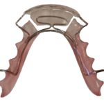 mushroom spring master edit